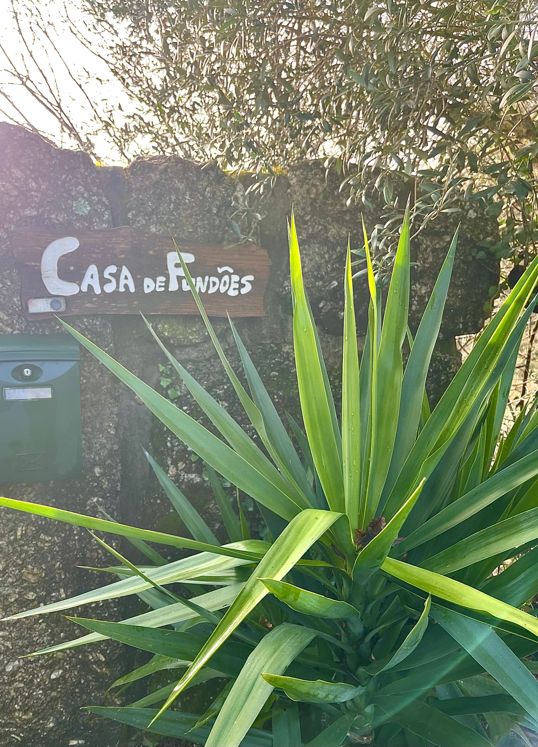 Casa de Fundões — 16